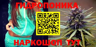 таблы Можга