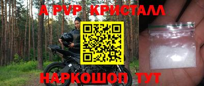 прущие грибы Можайск