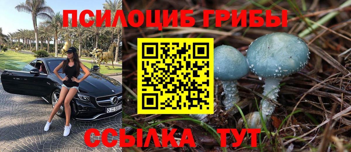 Псилоцибиновые грибы мицелий Северобайкальск