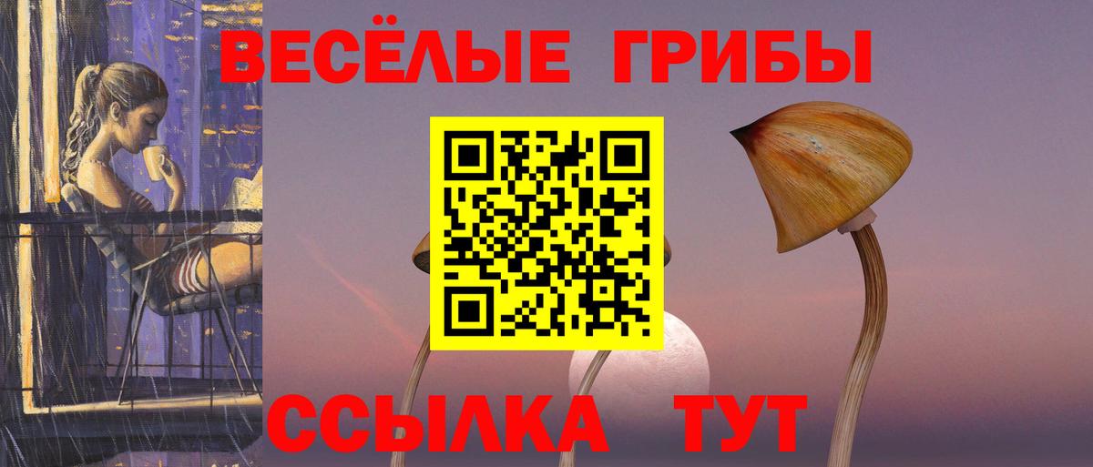 Галлюциногенные грибы GOLDEN TEACHER  Вход с VPN  Северобайкальск 